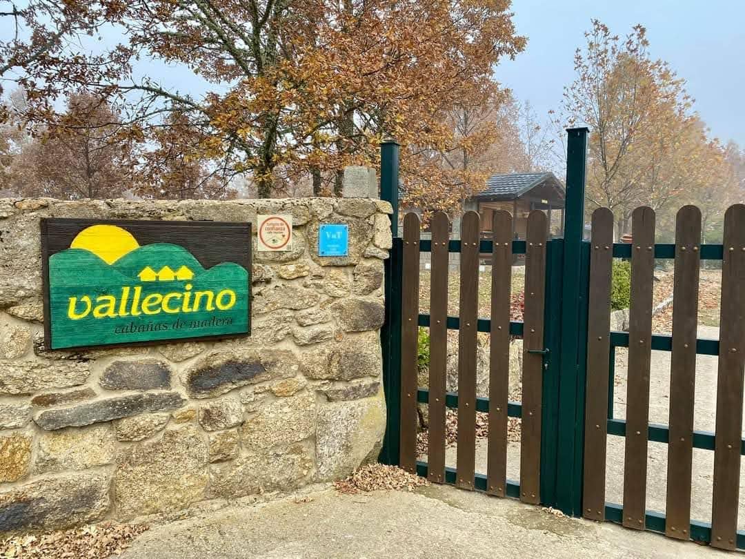 vallecino