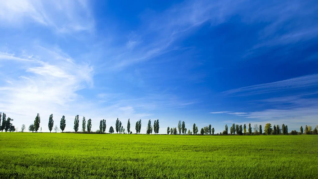 cielo