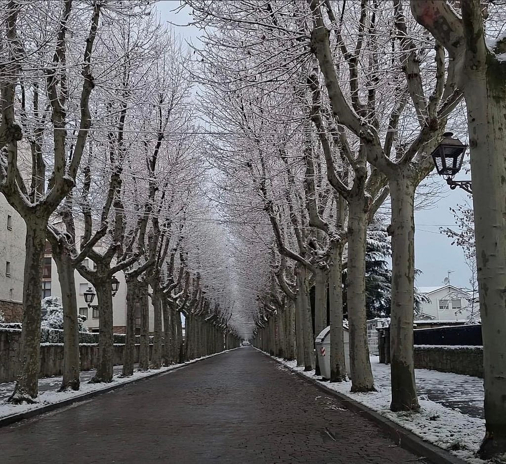 EL ESPINAR NEVADO