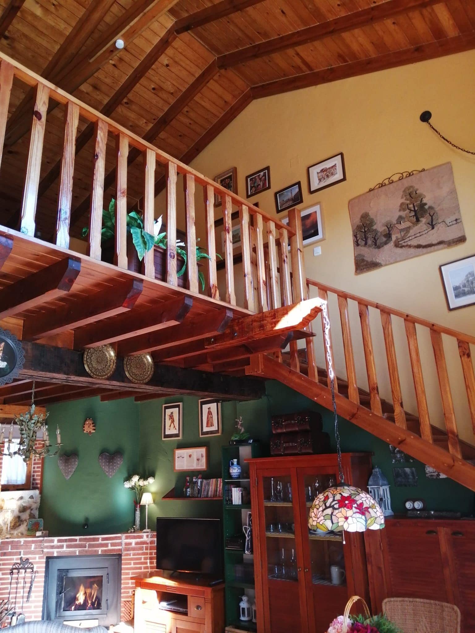 Mirador del gato