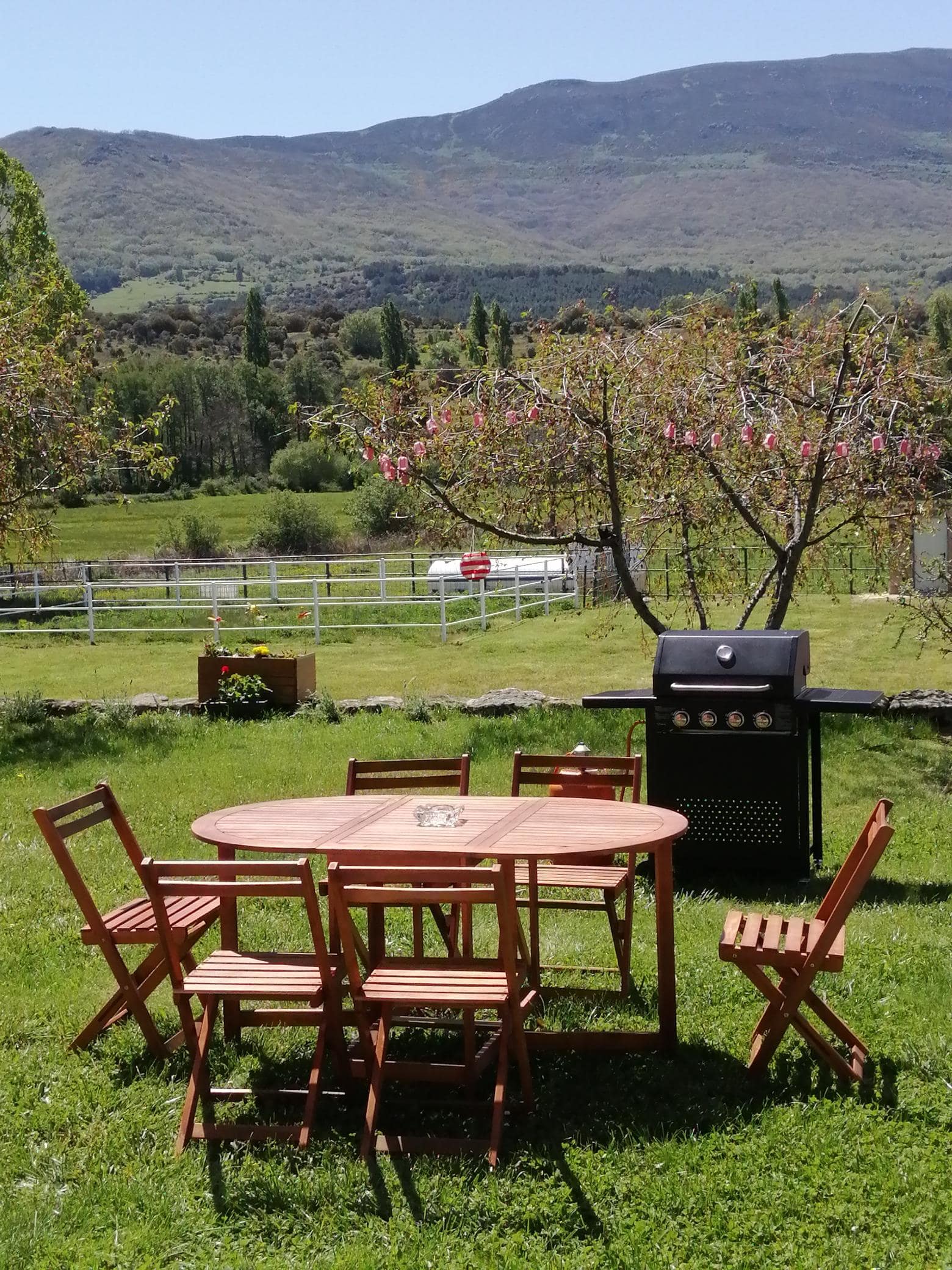 El Mirador del gato