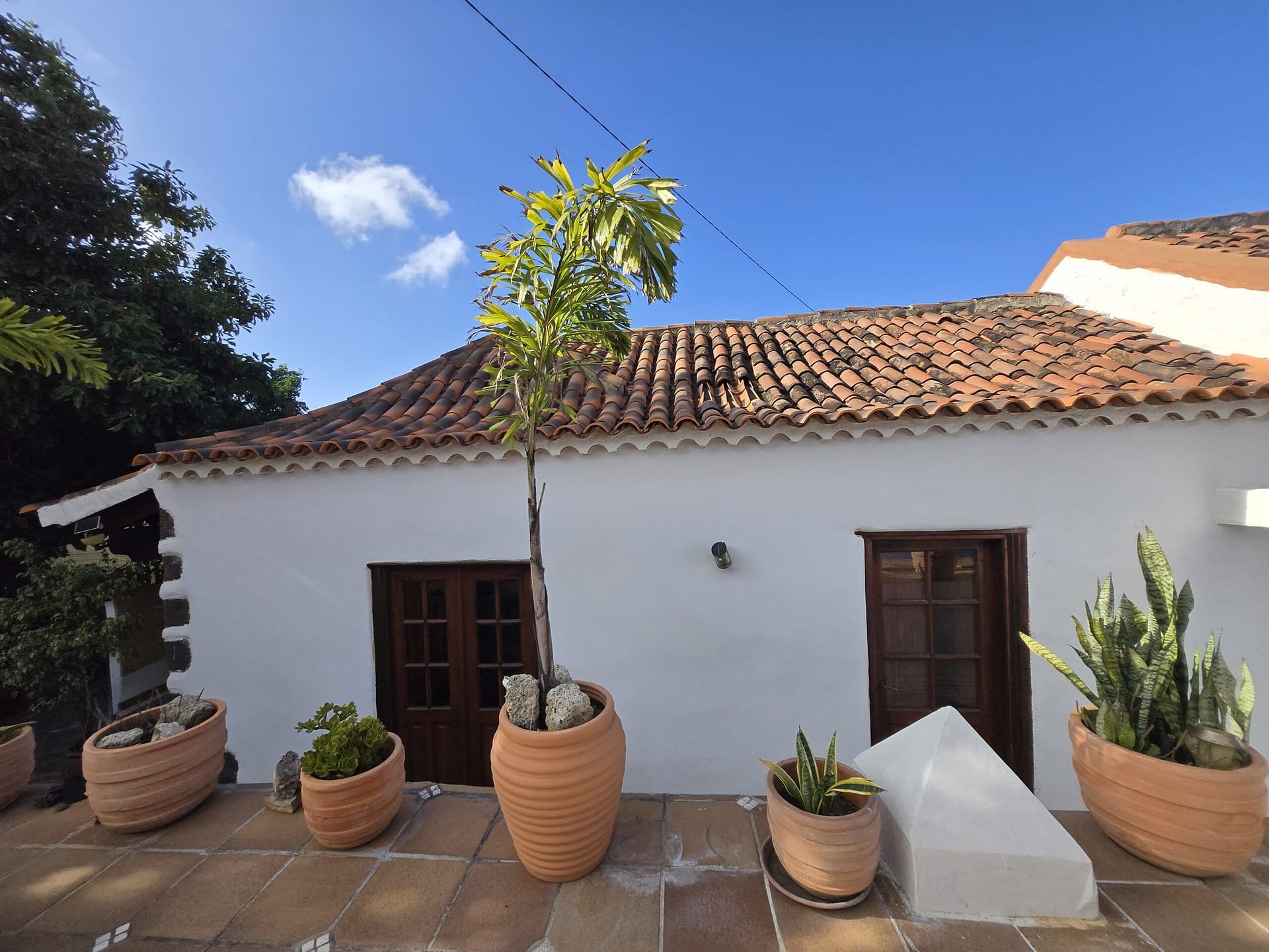 Finca Paraíso - Imagen 3