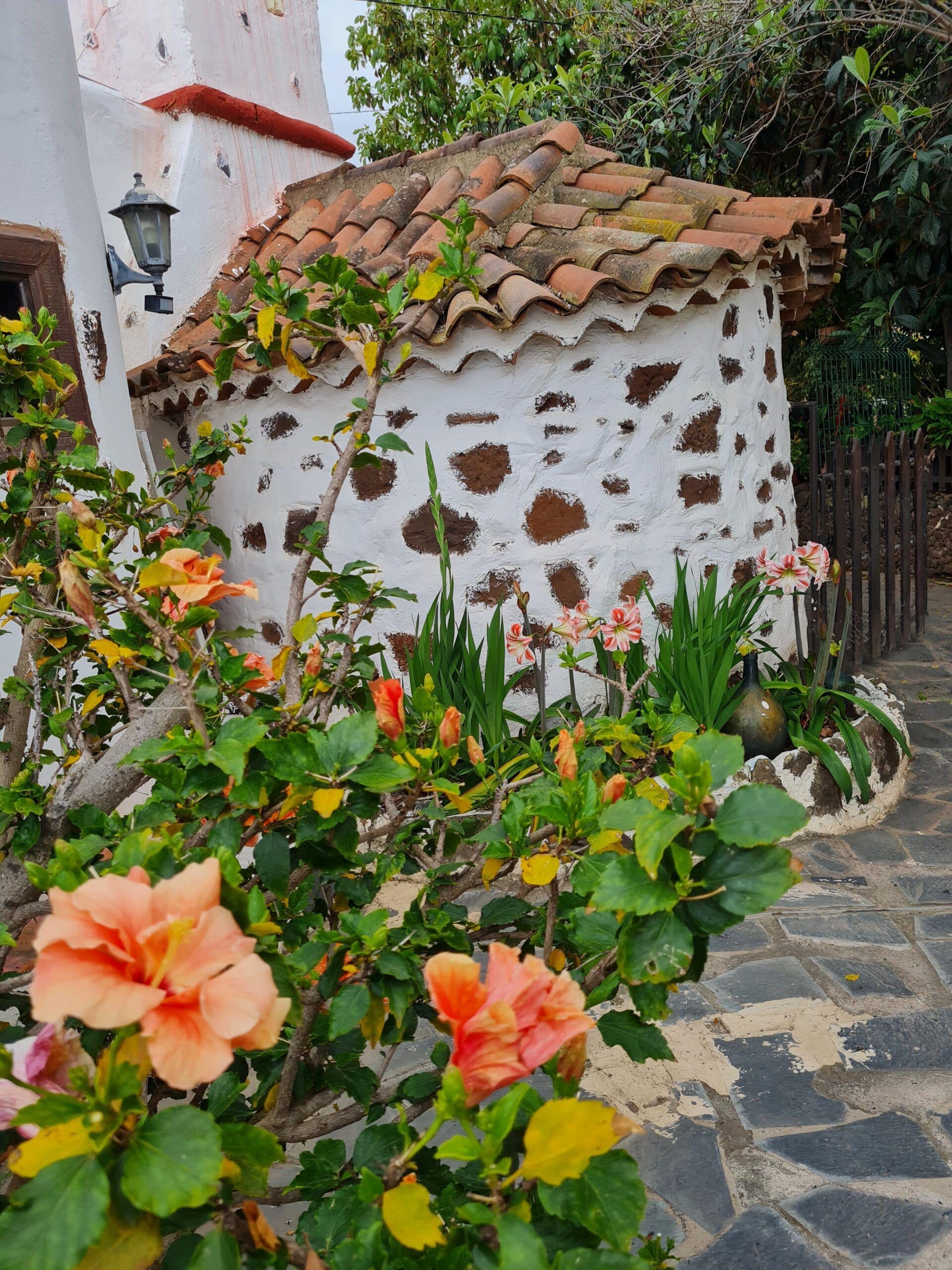 Finca Paraíso - Imagen 5