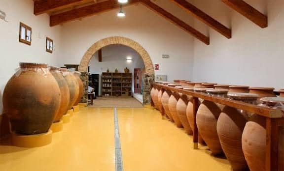 Bodega familiar en Pozoamargo