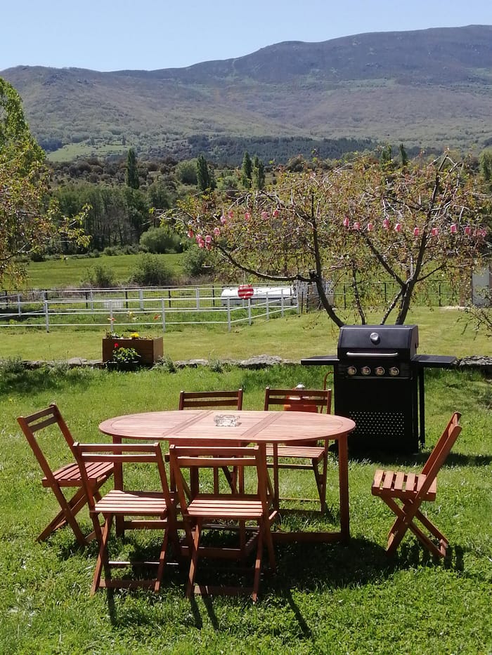 El Mirador del gato