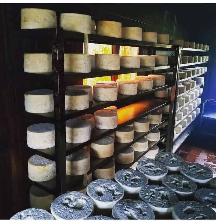 quesos artesanos en asturias