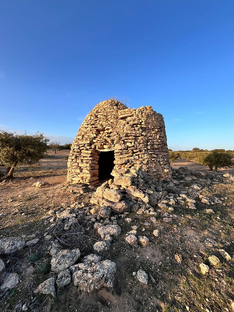 actividades en las casas de fernando alonso