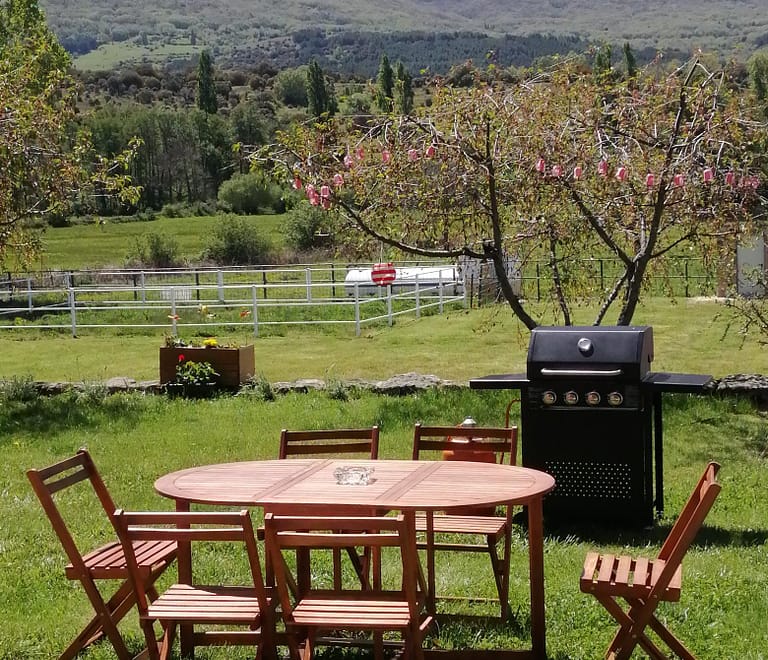 El Mirador del gato