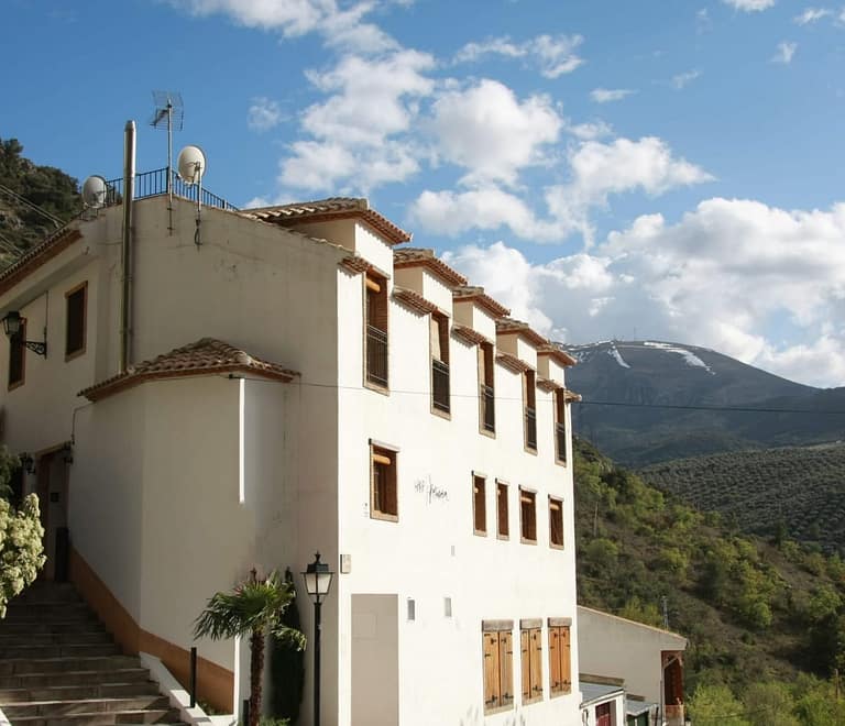 arenaria