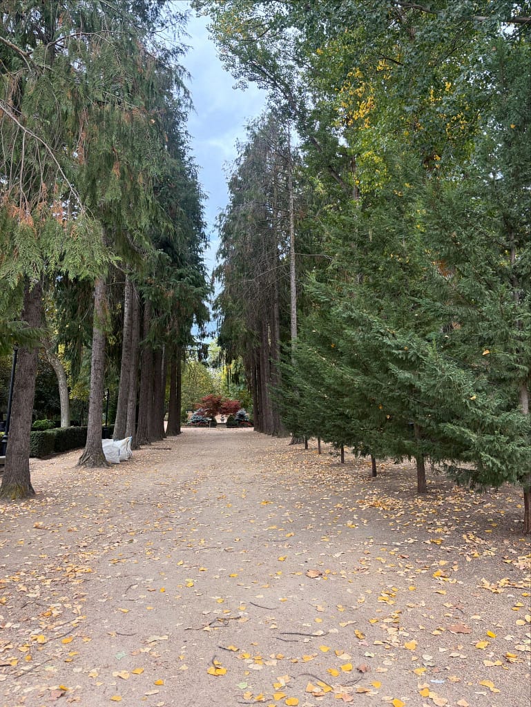 EL ESPINAR - PARQUE